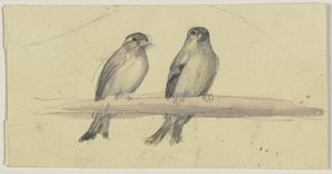 Zwei Vögel auf einer Stange von Jakob Becker