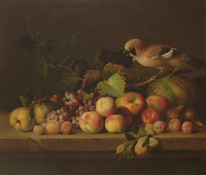 Stillleben mit Früchten, einem Eichelhäher und einem Papagei