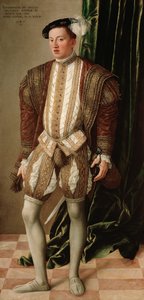 Ferdinand II. von Tirol (von Habsburg), Erzherzog von Österreich