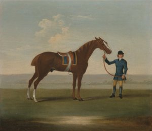 Ein kastanienbraunes Pferd (möglicherweise Old Partner) gehalten von einem Stallburschen von James (attr.) Seymour