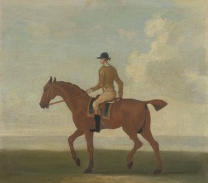 Ein Kastanienbraunes Rennpferd mit Jockey, ca. 1730