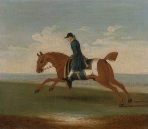 Kastanienbraunes Rennpferd, trainiert von einem Trainer in blauer Jacke