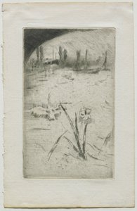 Schwan und Iris, 1883