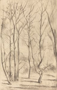 Der Dam-Wald