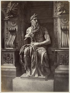 Michelangelos Moses von James Anderson