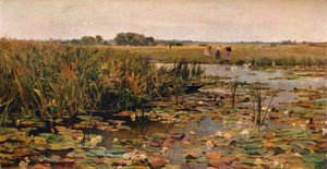 Seerosen, ca. 1870