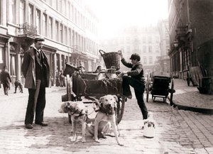 Junge mit Hundewagen, Antwerpen