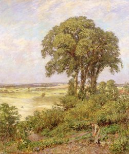 Landschaft in Sussex