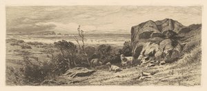 Ein Stück auf Marblehead Neck