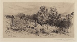 Ein brachliegendes Feld