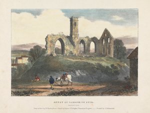 Abtei in Carrick on Suir von James Duffield Harding