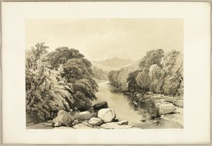 Esche, Ahorn und Eiche, aus Der Park und der Wald von James Duffield Harding