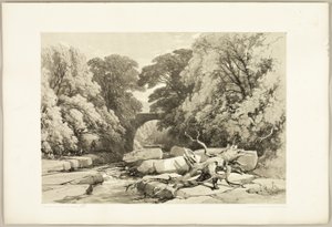 Esche und Erle an der Greta, aus Der Park und der Wald