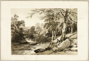 Buche und Esche an der Greta, aus Der Park und der Wald von James Duffield Harding