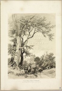 Buche und Eiche (Frontispiz), aus Der Park und der Wald von James Duffield Harding