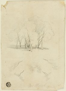 Baumgruppe von James Duffield Harding