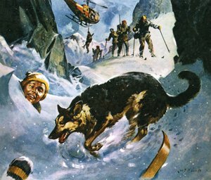 Rettung im Schnee