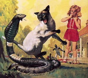 Die mutige Katze