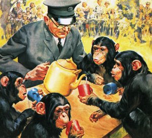 Wer ist wer im Zoo: Tee für vier