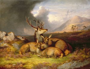 Highland Felicity, Ben Lebrig im Hintergrund