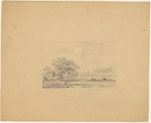 Pastorale Landschaft