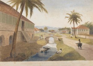 Holland Estate, St. Thomas im Osten, Jamaika [Eines von]
