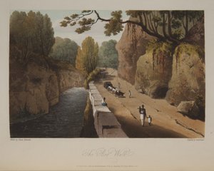 Der Sumpfweg