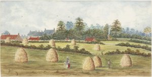 Chirton von Meadowell Farm