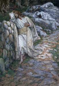 Meine Seele ist betrübt bis zum Tod, Illustration für Das Leben Christi