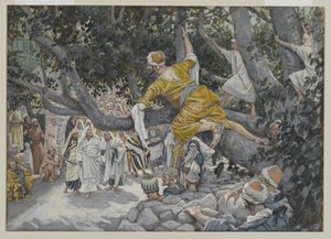 Zachäus im Maulbeerbaum erwartet die Passage Jesu, Illustration aus Das Leben unseres Herrn Jesus Christus, 1886-96 von James Jacques Joseph Tissot