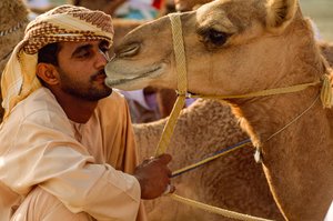 Ein Omaner küsst sein sanftäugiges Kamel beim Nationalfeiertags-Kamelrennen. Al Falaj Distri...