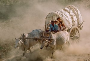 Ochsenkarrenrennen markieren den Vollmondtag von Kason. Patheingyi, östlich von Mandalay, Burma von James L Stanfield