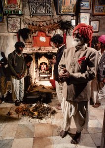 Heilige Ratten bewohnen den Karni Mata Tempel der Hindu-Göttin Bhagwati Karniji in Deshnoke, Rajasthan, Indien
