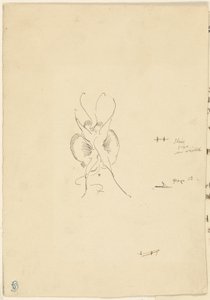 Schmetterling