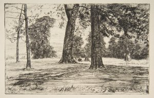 Greenwich Park von James McNeill Whistler