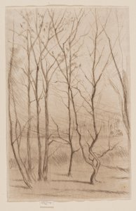 Der Dammwald von James Abbott McNeill Whistler