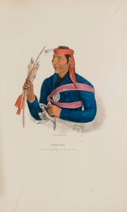 Ein Miami-Häuptling, aus The Aboriginal Portfolio