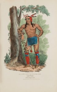 KAA-NUN-DER-WAAGUINSE-ZOO oder die Beerenpflückerin; Ein berühmter Chippewa-Häuptling, aus The Aboriginal Portfolio