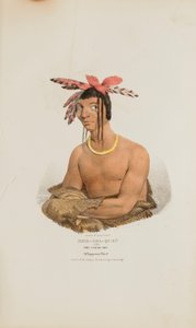 MISH-SHA-QUAT oder der klare Himmel; Ein Chippeway-Häuptling, aus The Aboriginal Portfolio