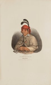 NA-SHE-MUNG-GA, Ein Miami-Häuptling, aus The Aboriginal Portfolio