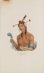 O-CHE-NA-SHINK-KAD oder der Mann, der steht und schlägt; Ein Winnebago-Häuptling, aus dem Aboriginal Portfolio