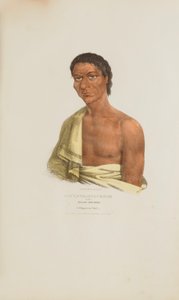O-HYA-WA-NIM-CE-KEE oder der Gelbe Donner; Ein Chippeway-Häuptling, aus Das Aboriginal Portfolio