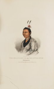 TOO-SHA-NA-GAN-KA oder Der kleine Otter; Ein Winnebago-Häuptling, aus dem Aboriginal Portfolio