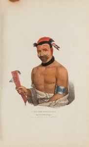 WADT-HE-DOO-KAANA; Häuptling der Winnebagoes, aus The Aboriginal Portfolio