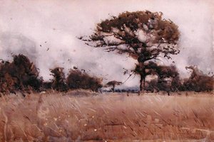 Wind von James Paterson