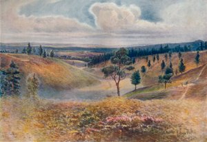 Blick vom Beacon Hill, Hindhead, 1911, 1914 von James S Ogilvy