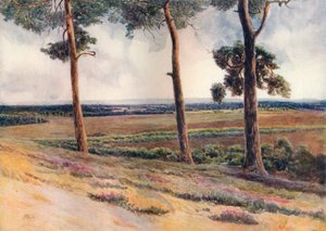 Blick von Staple Hill, 1911 von James S Ogilvy