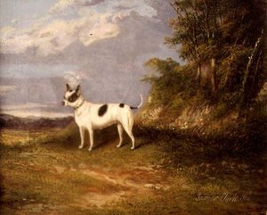 Ein Terrier in einer Landschaft