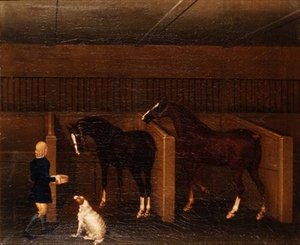Ein Bräutigam, Pferde und ein Hund in einem Stall