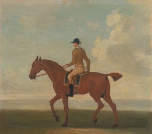 Eines von vier Pferdeporträts - ein Kastanienbraunes Rennpferd mit Jockey: gehend nach links; Jockey in gelber Jacke von James Seymour